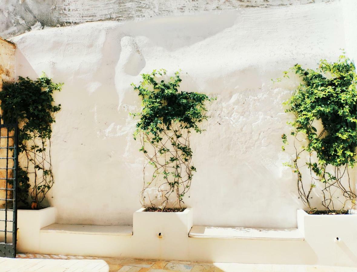 Gh Dimora Sant'Anna Ξενοδοχείο Carovigno Εξωτερικό φωτογραφία